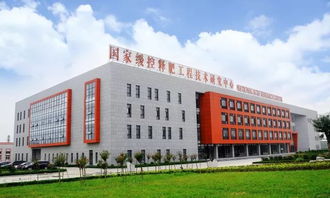 利辛農民,土壤可以通過修復,實現(xiàn)作物高產,金正大國際富朗產品將在利辛,開啟親土種植新時代